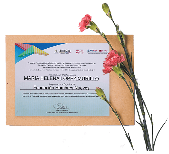 Composición gráfica: diploma recibido por la Fundación
