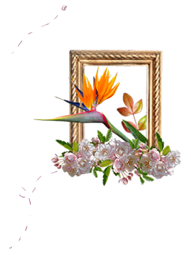 Composición gráfica: Flores en un marco