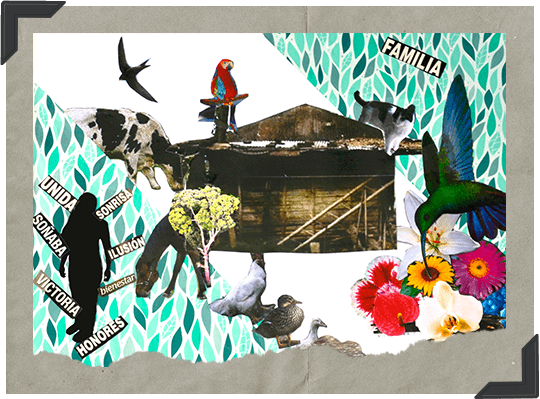 Collage construido por los integrantes de la Fundación en el que se ilustra la vida en sus territorios, antes del desplazamiento forzado
