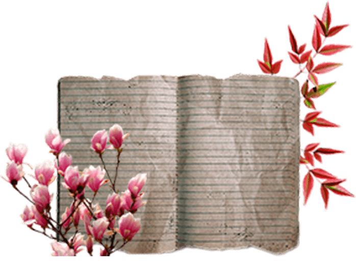 Composición: Libro y flores jardín de la memoria volumen 2