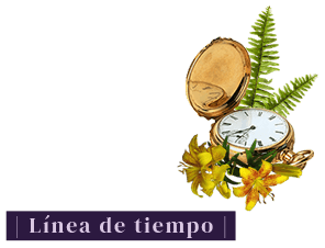 Botón línea del tiempo